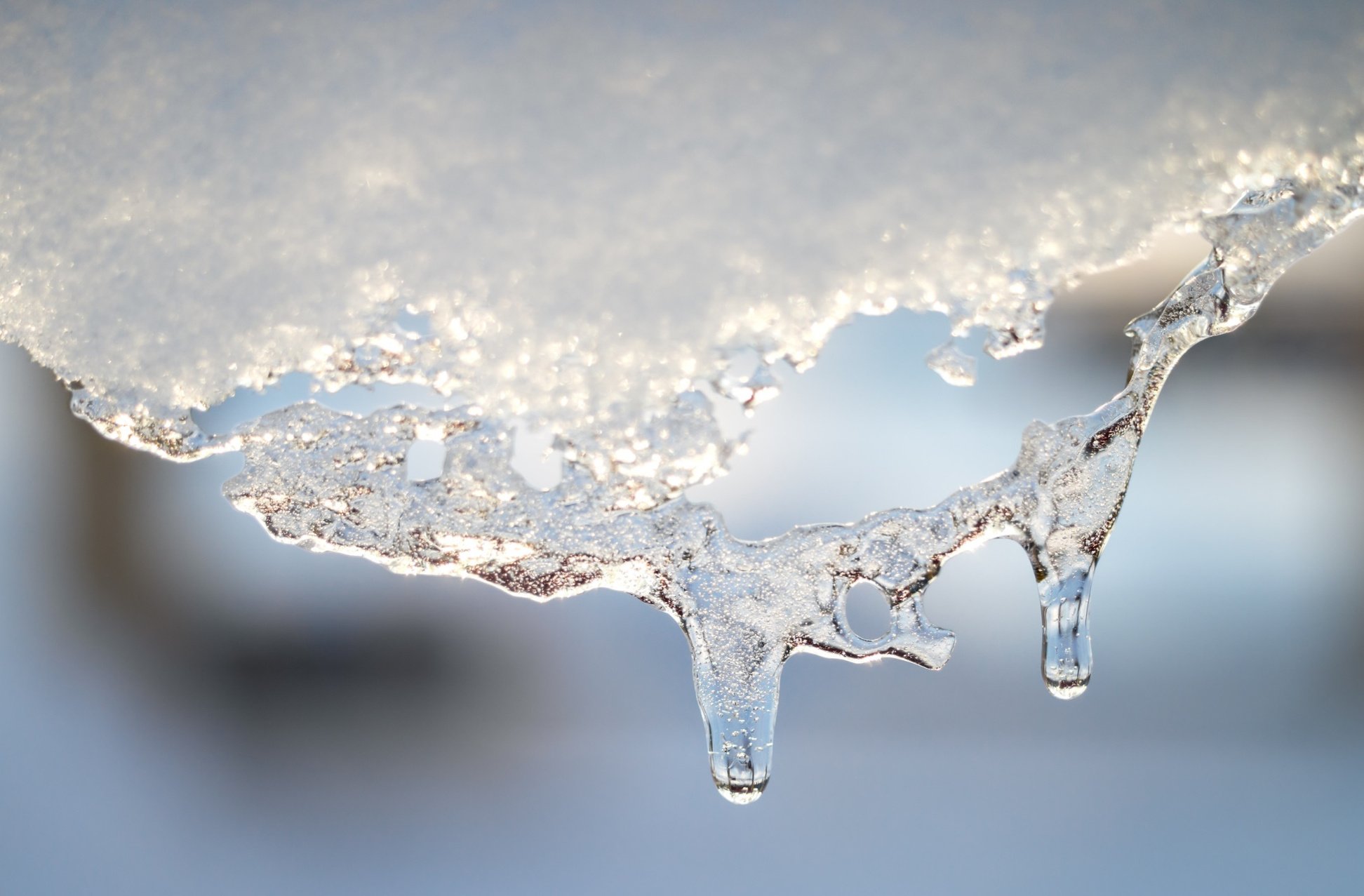 Picture of melting icicles