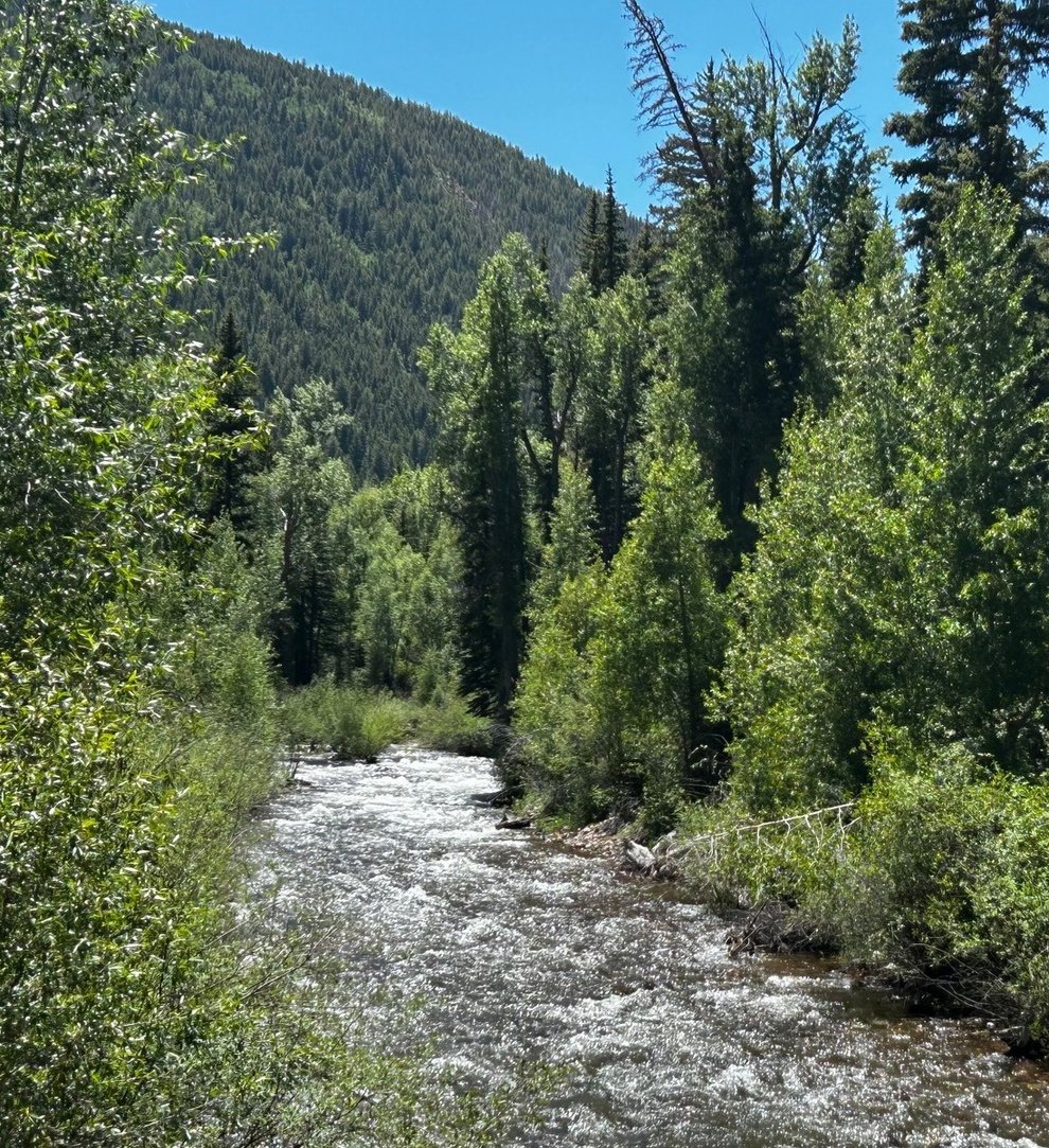 Image of mountain stream, Snowmass Creek